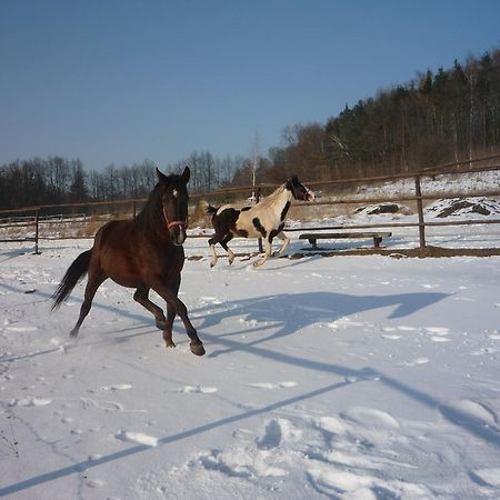 Agroturystyka Pod Rumakiem Chęciny Exterior foto